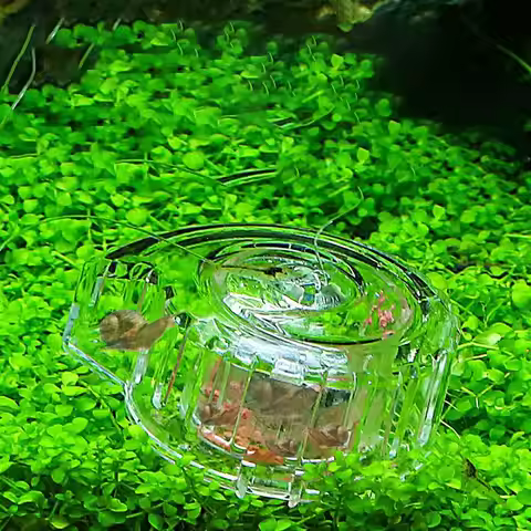 Transparent Aquarium Accessories Planaria Pest Catch Box Snail Trap Catcher Fish Tank Cleaning Tool 