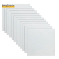 12 Sheets 10mil  Sheet 12 X 12 Inch Milky Translucent PET Blank Stencil Making Sheet  (10mil)