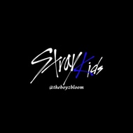 [UNOFFICIAL] Stray Kids Photocard Video Call Event // Double Sided