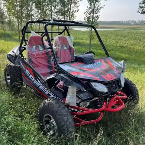 Hot Sale Pedal -Powered Racing Kart for Adult Off-Road Outdoor Club Karting Amusement Park Use 70km/