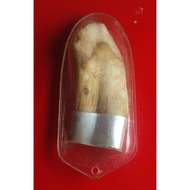 Old Home Appliances Share Rent