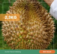 Durian montong utuh Cane Singaraja Bali 2,3kg