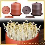 [Chiwanji2] Sprouting Jar, Sprouting Plate, Multi-Purpose Space-Saving Pot, Green Tray, Sprouting Ja