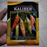 Surprise Caliber Chili Seeds 10 Grams - Caliber Chili Seeds - Crm Caliber