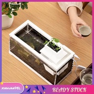 [xinhuan75l.] Tiny Fish Tank- Aquarium with Inner Light Mini Landscape Desktop Home Ornaments for Sm