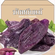 ✅ ขายดี มันหนึบ 🔥 **ซื้อ1เเถม1** มันหนึบญี่ปุ่น มันหนึบ มัน มันม่วง มันญี่ปุ่น มันหวาน มันหนึบพร้อมท