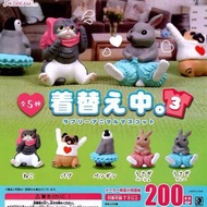 日本正版 動物換衫 動物扭蛋 玩具 扭蛋