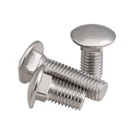 [WDY] 304 Stainless Steel Carriage Screw M4M5M6M10M12 Semicircle Head Screw Square Neck Shelf Bolt F
