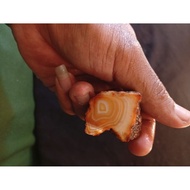 Natural turmericnatural with Chalcedony agate 22C stripedORANGE