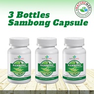 3 Bottles SAMBONG Capsule (NatureMed Sambong Capsule) | Kidney Stone Kidney Problem  | 500mg100 Caps