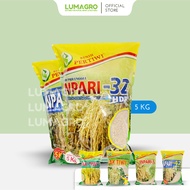 Terbaru, Benih Padi Pertiwi 5Kg Bibit Inpari 32 33 42 Pak Tiwi 1 Dan 2 Premium Pari Jumbo 5 Kg