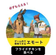 最終幻想14 FF14 FFXIV KFC肯徳基 合作序號 日區