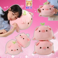 BCT✨40cm Pig Plushie Toys Cute Pig Stuffed Doll with Flower and Grass Sprout on Head Soft Throw Pill