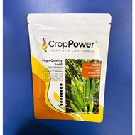 【50GM 】 Biji Benih Bendi Ten Brothers 十兄弟 OK10 CROP POWER F1 Hybrid Okra Seeds 秋葵羊角豆种子 OK 10