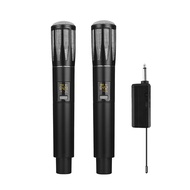 Wireless Microphone 1-to-2 Professional KTV Live performance stage home outdoor FM handheld micropho