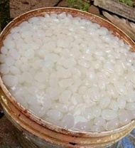200 gram kolang kaling super bahan manisan terbaik kolang kaling medan berkualitas