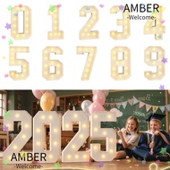 AMBER Giant Birthday Figure, 0-9 Numbers Light Up Balloons LED Light Balloon, Lighted Numbers LED Li