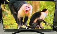 LG 55inch 55吋 QNED81 NANOCELL 4K smart TV 智能電視