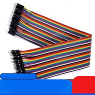 [50 Pieces]- Male-Male Sheath Wire 15cm Long IC2 Components