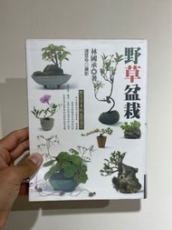 野草盆栽 林國承