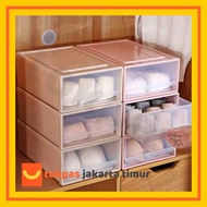Multipurpose Minimalist Storage Organizer Shoe Storage Box Multipurpose Stackable Plastic Container 