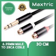 Panamax 30CM 6.35MM Male to 2RCA Female Audio Cable for Outdoor Performer = PX-2402G