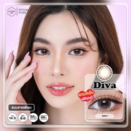 คอนแทคเลนส์ รุ่น Diva สี Gray - คิตตี้ คาวาอิ Kitty Kawaii (แบบขวด)