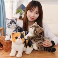 Invoice Cat Doll Plush Toy Simulation Kitten Cat Cat Doll No Lint Garfield Gift Exchange Gift Cat Do
