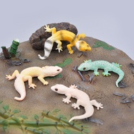 Simulation Cut-toed Tiger Model Fat-Tailed Gecko Toy Reptile Gecko Lizard Cognitive