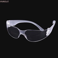 FAMOUS Eye Protective Glasses Eyewear Fashion Anti Fog Factory Clear Lightweight Windproof Safety
