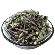 貓鬚草降酸茶80克 (50包) 野生貓鬚草 促進尿酸代謝 清熱利水 自然清香 口感柔順 純天然草本 三角茶包