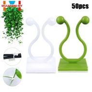 【MULSTORE】for Invisible Plant Climbing Clips Wall Vines Fixture Wall  Hook