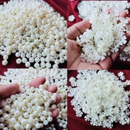 Acrylic Beads/Pearl Pearl Pearl/Mote Pearl Beads Cherry Blossoms And Versatile Pearls