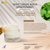 Night Cream Alpha Arbutin