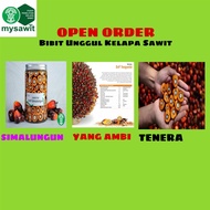 BIBIT SAWIT SIMALUNGUN YANGAMBI TENERA X PPKS ISI 250 butir plus Sertifikat Bibit sawit terbaik kual