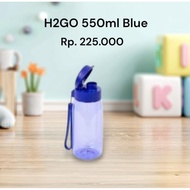 H2go 500ml bottle