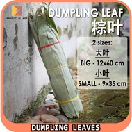 粽叶竹叶 Dumpling Leaf 粽子叶肉粽 / 碱水粽 ( 12*60cm / 9*35cm ) 端午节粽子叶包粽子叶