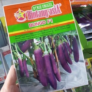 Star Asia Eggplant Bungo F1 Seeds – 5 grams
