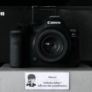 ( Used!! ) Canon EOS R6 Mark II + Canon RF 50 F1.8 STM ( Mint+ )