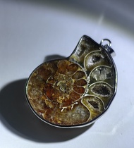 Natural Crystal Ammonite Fossil Pendant 天然水晶 斑彩螺 顺风螺吊坠