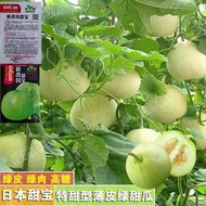 日本甜寶甜瓜種子 種籽薄皮香瓜種籽四季播種庭院盆栽農家瓜果蔬菜種籽tqxy