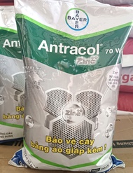 Thuốc trừ bệnh ANTRACOL 70WP gói 1kg