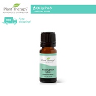 Eucalyptus Mint Essential Oil Blend