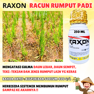 𝗛𝗘𝗥𝗕𝗜𝗦𝗜𝗗𝗔 𝗦𝗜𝗦𝗧𝗘𝗠𝗜𝗞 𝗣𝗔𝗗𝗜 - Raxon Racun Rumput Padi