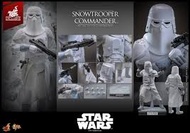 Hot Toys MMS835《星際大戰五部曲：帝國大反擊》1/6 比例 雪地兵指揮官