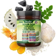Custard Apple Fruit Herbal Tea、Seaweed and Lion's Mane Mushroom - 24 Combination 1 Supplement，Contai