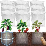 3/2/1Pcs Plant Root Metal Protective Cover - Plants Root Protective Basket - Plant Root Fixator - Ro