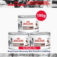 Royal Canin Convalescence Canned AD Postoperative Recovery Nutritional Supplement Dog and Cat Mousse
