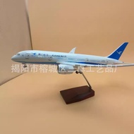 Xiamen 787 Lighted Airplane Model Ornaments Furniture Ornaments Simulation Airplane Model Airplane M