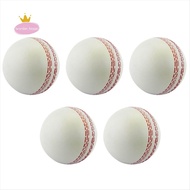 Sports Cricket, Training Cricket, Sports Wind Swing Rebound  Cricket, Elastic Decompression Ball